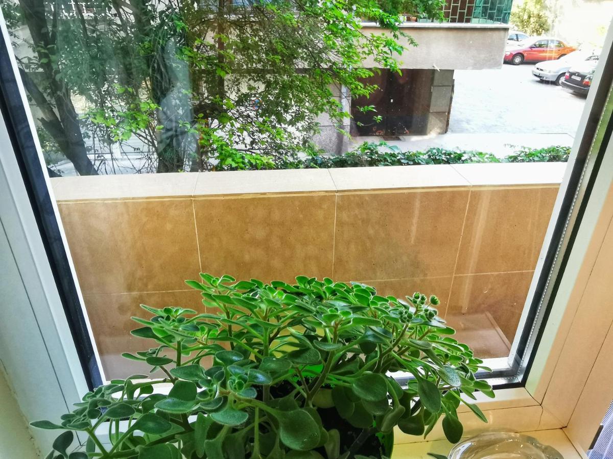 Rila Apartment Sofia Luaran gambar